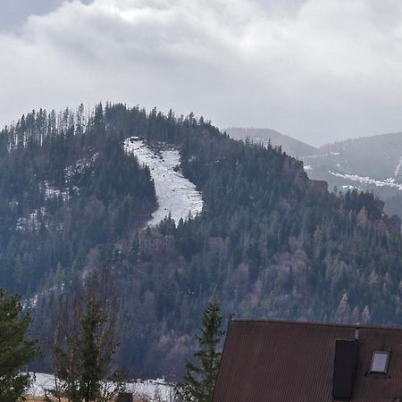 Apartament Antalowka ! Zakopane Kültér fotó
